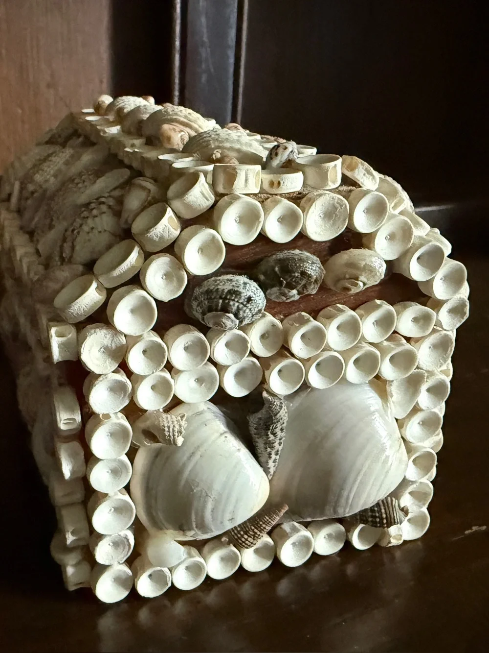 Seashell Decorative Trinket Box with Red Lining